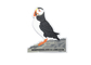 2D Puffin Soft Pvc Fridge Magnet, Personalised Fridge Magnets With Soft Magnet On Back Side