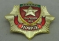 Transparent Souvenir Hard Enamel Pin Badges , Die Struck Military Awards Pin