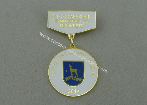 Die Stamped Brass Custom Awards Medals With Synthetic Enamel / Gold Plating