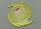 3D Die Cast Medals For Budo Academy / Zinc Alloy With Gold Plating