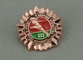 Die Casting  promotional lapel pins With Zinc Alloy Material And Copper Plating