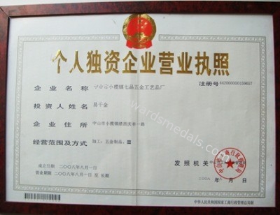 China pins centre company ltd Certification